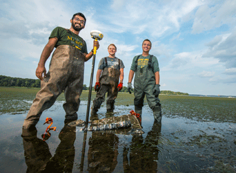 Mason professor and students in coastal marshlands