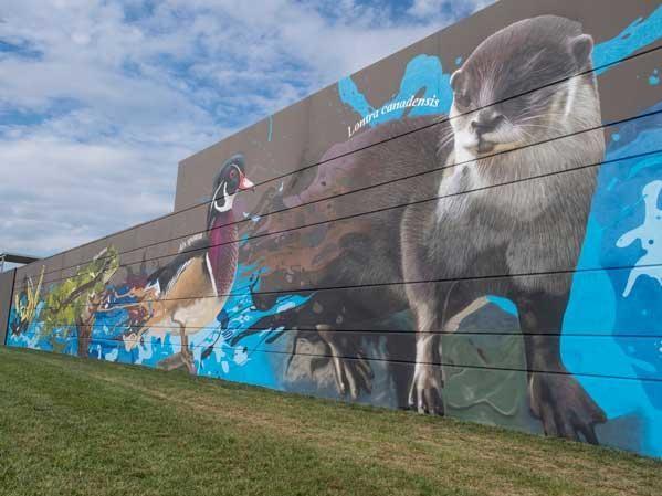 A mural of an otter and a wood duck adorn the side of the Potomac Science Center building.